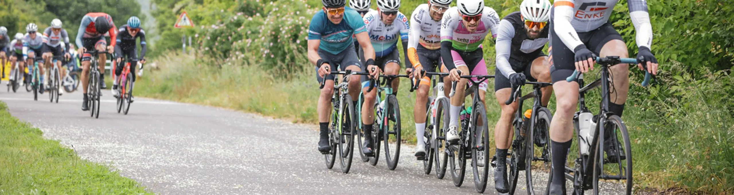 Gruppe von Rennradfahrern im Grünen