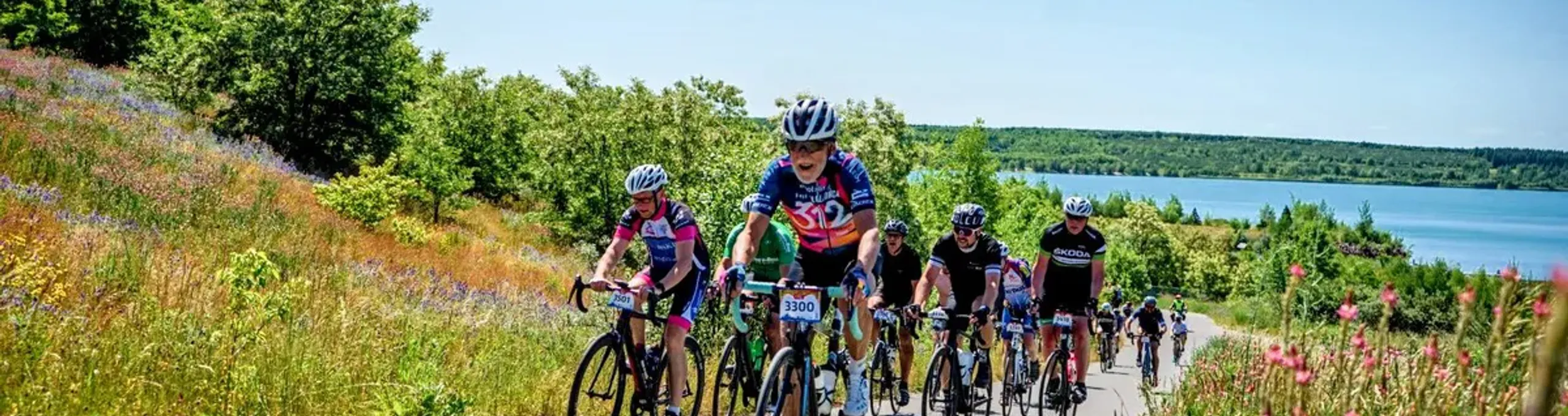 Eine Gruppe von Rennradfahrern am Störmthaler See
